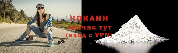 индика Балабаново