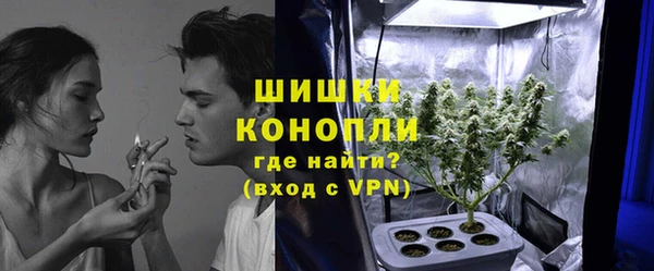 индика Балабаново