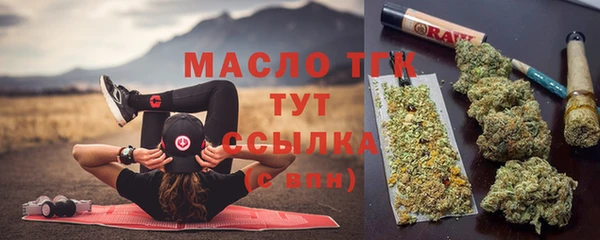 индика Балабаново